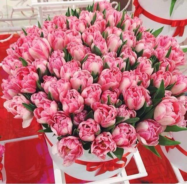 37 ���� �� �����...