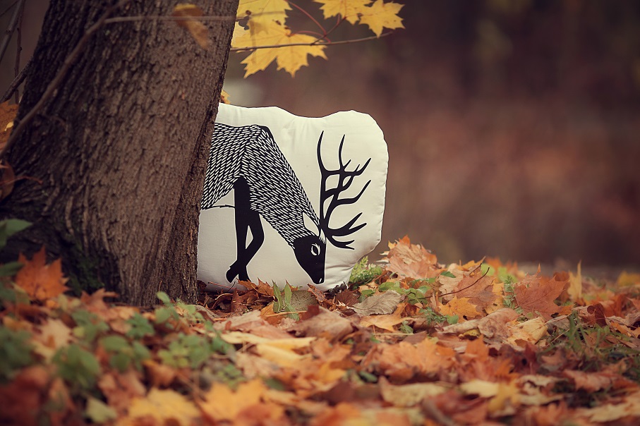 �������-��������: �������� ��������� � ���������!