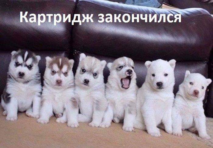 �������� ���������...