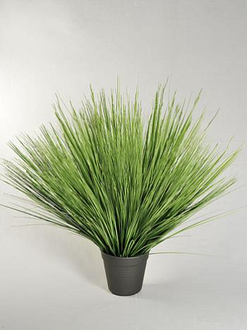 ���������� ��������� ����������� � ��������� ����������! ����������� �����! ���� ������ �� 25%. ����� �� ������� ������������� �������, ��������� �����, ����������� �������, �����. ����� ������������ ����, ������, �����. ����� 19. 