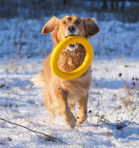 �������-������� ��� �����.������ �������.������������ ������.���� ������� ����������,����� ��� �����.������ ���� �� ������� � ��������������� ���������