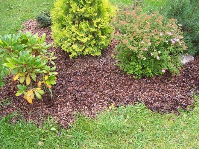 ���� �������. ���������@ - �������� ������������ � ���������� ������ ���� � �������! �����!!!! ����� 2. ���� 28 ������.