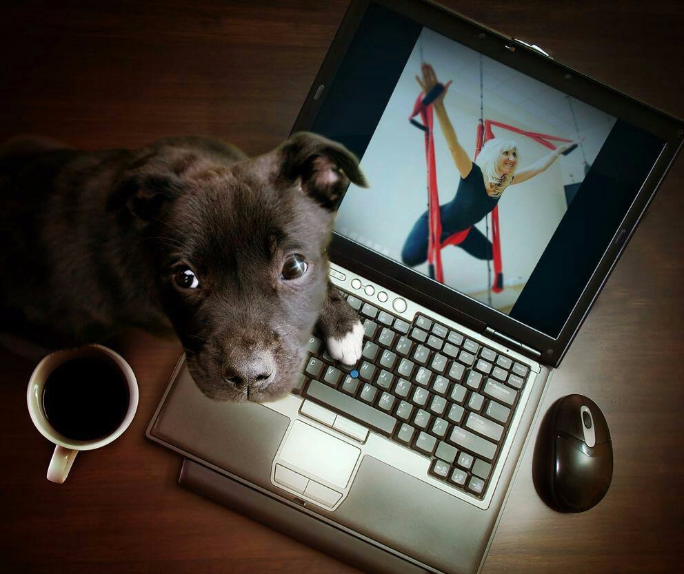 �ӣ ������� �� ����