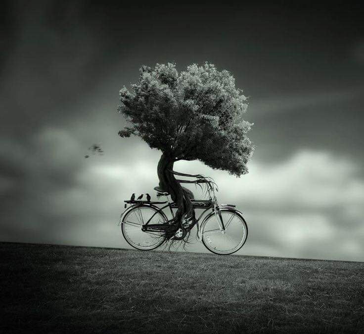 �����  - ��� �������� �� ����������, ��� �� ��������� ����������, �� ������ ���������...