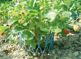 ���� �������. ������� ��� ������� ������. ������ ��� ���, ������, �������, �����, ����������, �������� ������. ������ ��� �������, ����� � ����������, �����������. �����������. ���������, ������ ��� �������, ������ � � �����������. ���� �� 2 ������