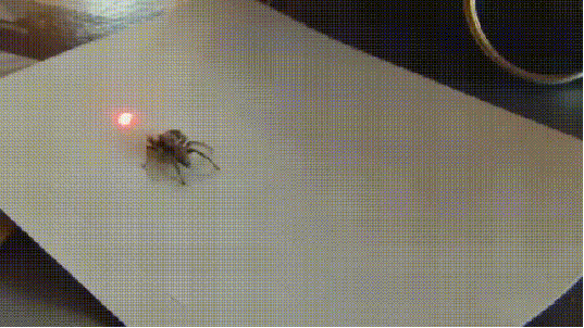 �� ������ ������ �������� �� ������� ������