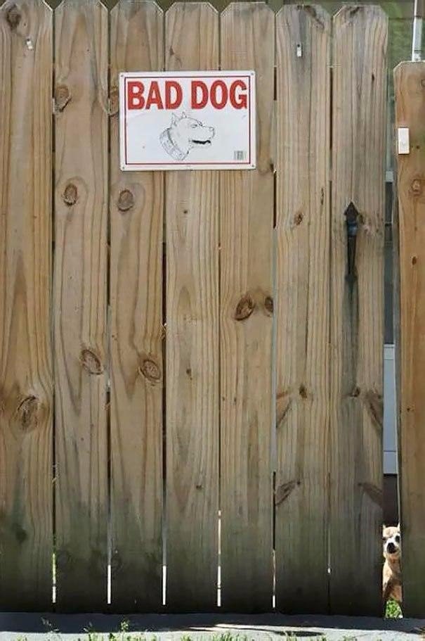 “���������, ���� ������”