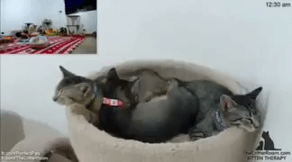 �� � ���� � ���
