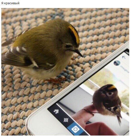 ������� ����