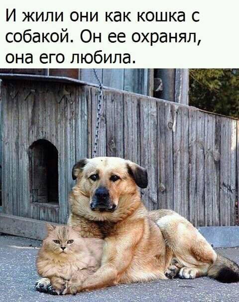 �����������- ��� ����� ������ ���� ������... (�) ����� ��������