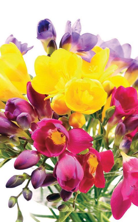 ������������ ����������� ����� �� ����� ���� �� 145 ������.� ��������� 8 ����� � ����� 