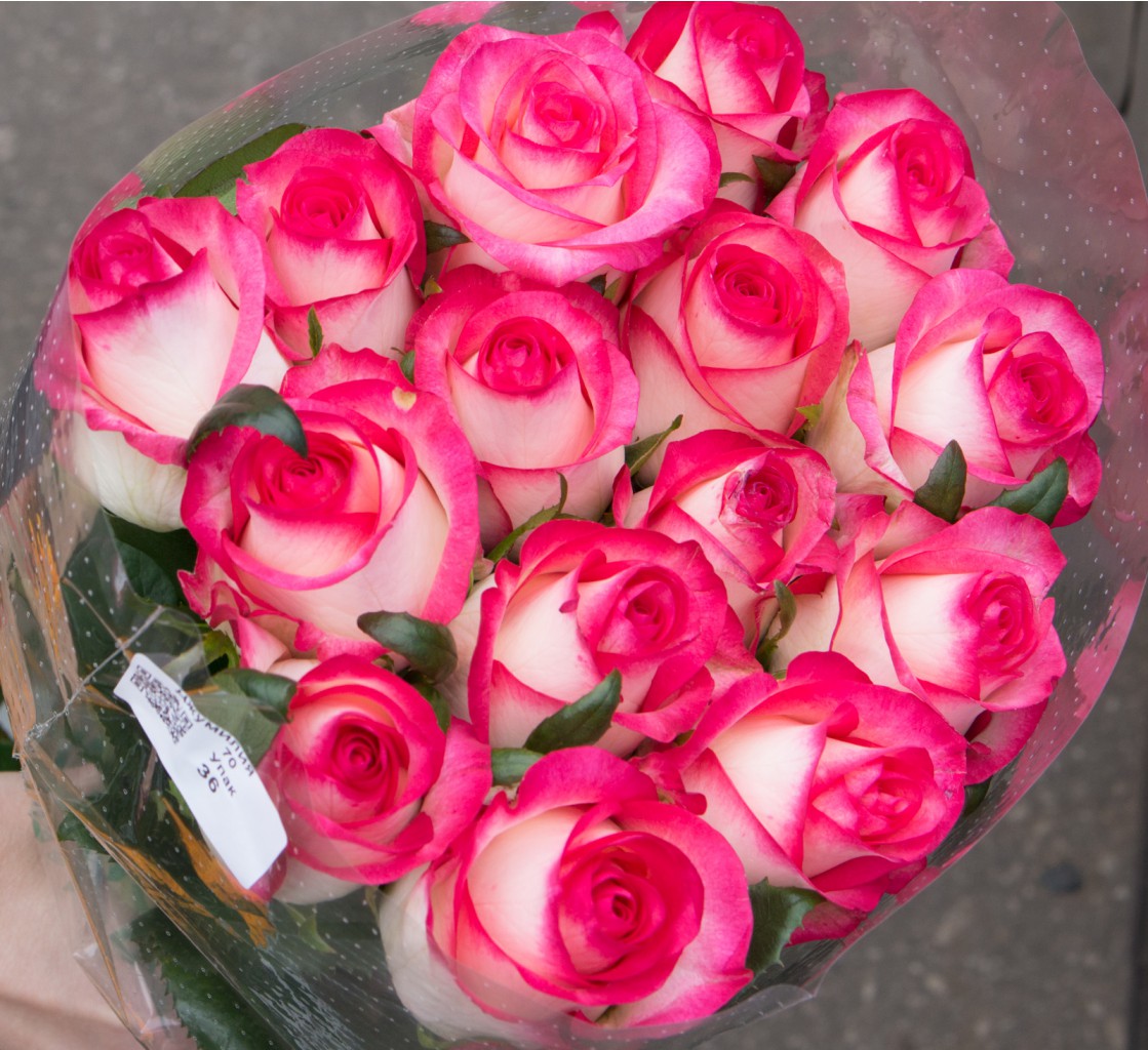 ���� �������. ������ ����� ������ ���! ������� �� ����� ������ �������������� ����. ���� ��� ������� ������. ����� 4