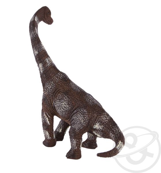 ���� �������. �����-���������� �������! ����� ��� ������� �� 1098 ���! ������ ������������ �� 533 ���! ������� ��� �������, �������, �������� �����, �����, ������, ������, ��������� ���� � ��. �������.