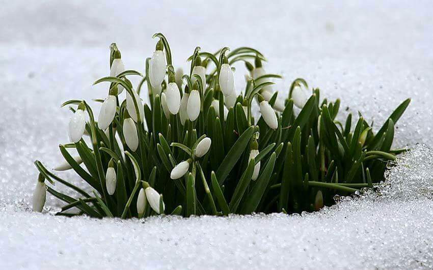 �� ���� ������� ������ ���ģ��� ������, ��� ������ ����!!!