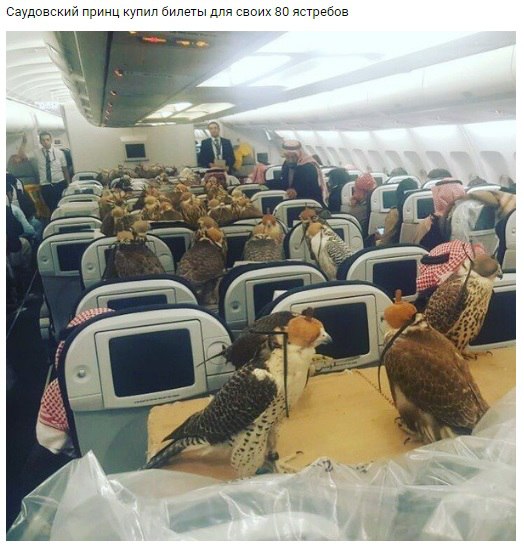 � ����