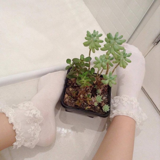 �������� ��������...