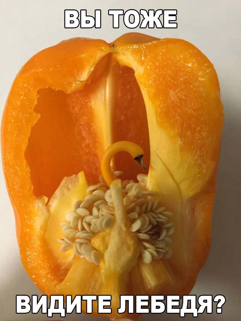 ������� ����