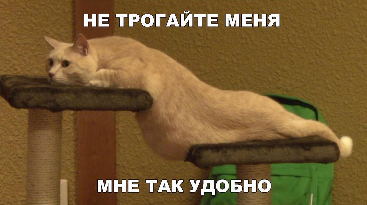 ������� ����