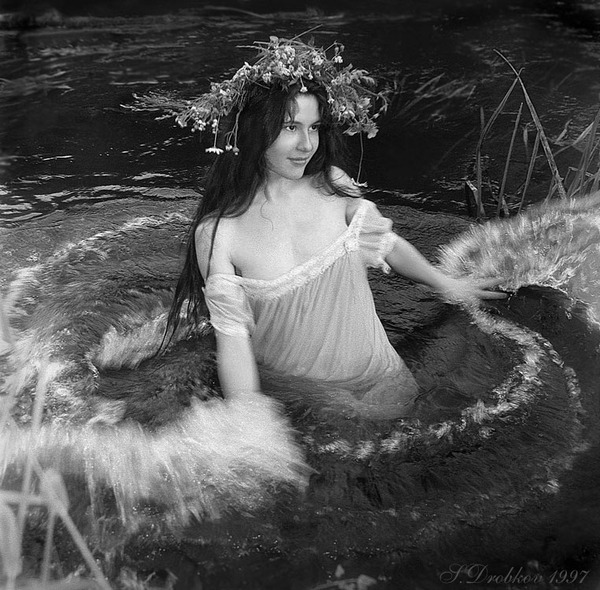 ������: ��������� ������