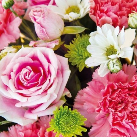 ���� �������. ���������� ������ � ������-����� - ��������� � ���������� 23 ������� � 8 �����! �������� ����� �������! ��� � �������! ���� 9 �������.