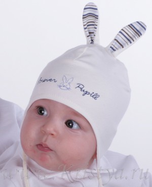 ������ �������!!! ���� �� 80 ���.! ����� ���������� �������� �����!!! 28 �����.