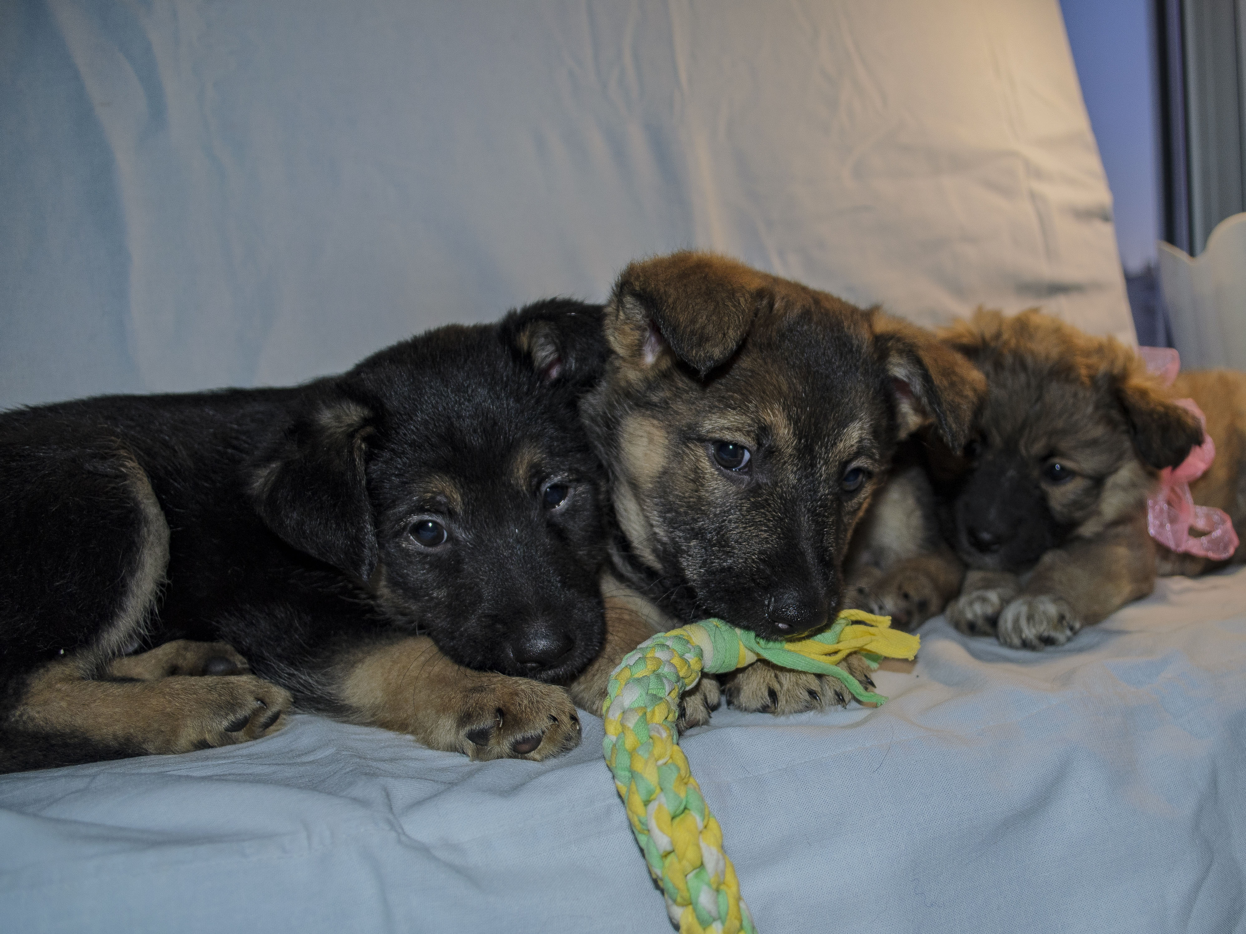 ��� ���� �����? ������ ������������ ������. ������� � ����� ����� +7 999 120 79 69 - �������