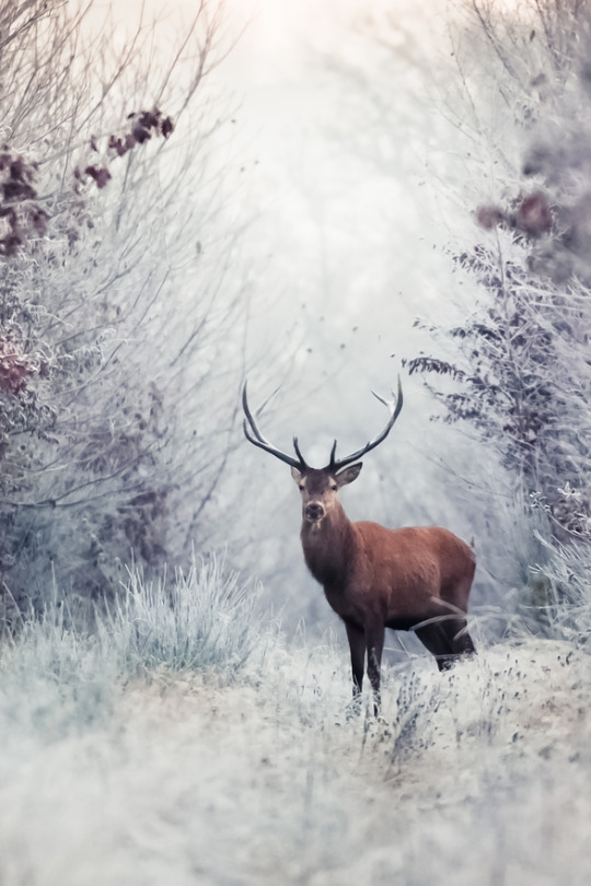 ������ ����� ���� �� ������������... 