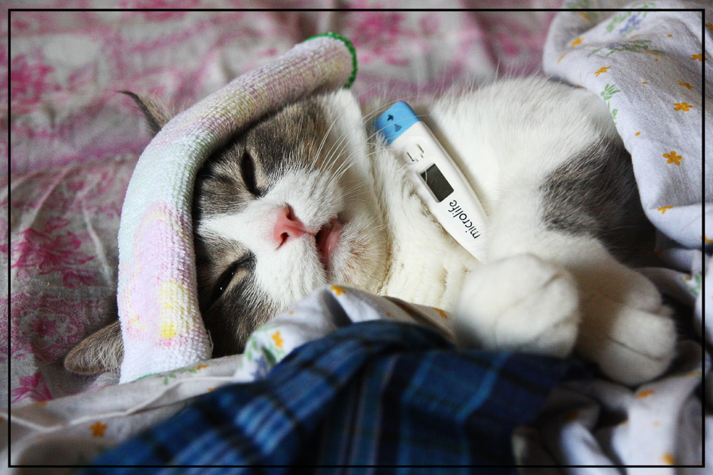 ������!!!!(((( ������� ������ ������� , � ����� � ��� ������� ����������� �������, ����� �������� ���� �� ����, ����� ���������!!!