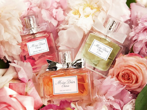 ���� ������� 2 � 1: ��������� ��������� �� ������ ����� � ������� ���������� - ����� 41. ������� � 8 �����!