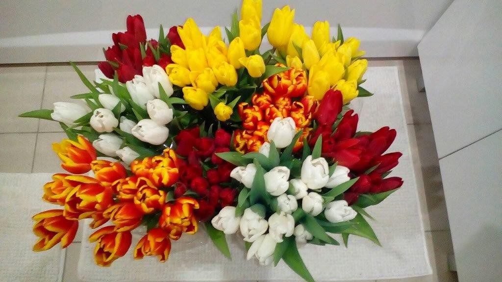 ���� �������. �������� � 8 ����� ��� ����� ���