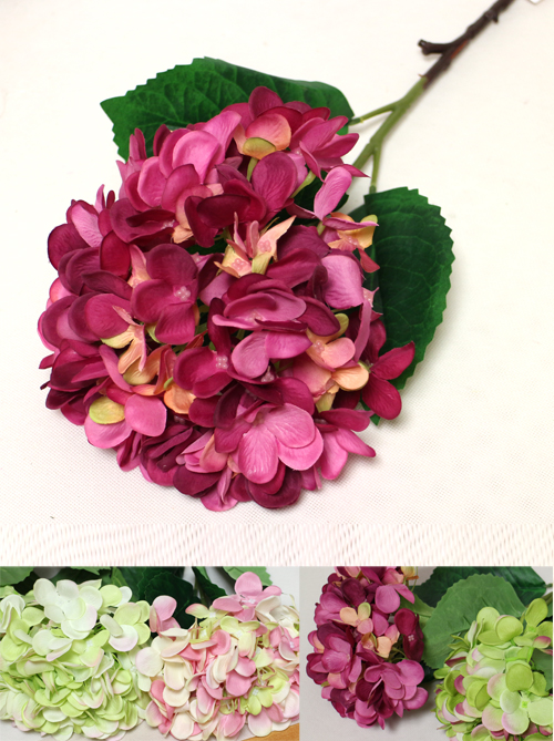 ���������� ��������� ����������� � ��������� ����������! ����������� ����� ������, ��������, �����!!! ���� �������!