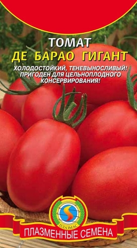 ���� �������. ���������� ������. ������ � ������ � ����� �������! ����� 5. ���� 23 �������.