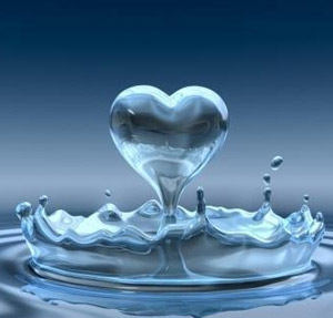 ����������.������� ��� ����������� ������ ��������� �� ������ �������