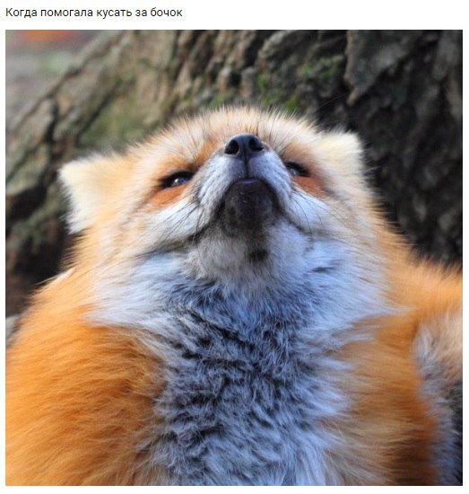 ������� ����