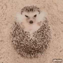 ����� ��� ����������, �� ���������� ��������