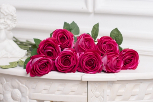 ���������� ���� � ���� ������� ���������! � ����� �������� ���� ������ ����� �������� (������ ��� ���������)