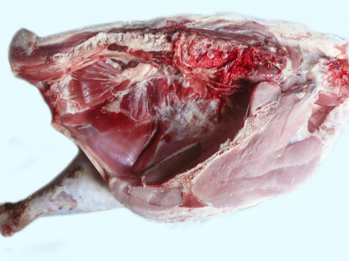 ���������� �������