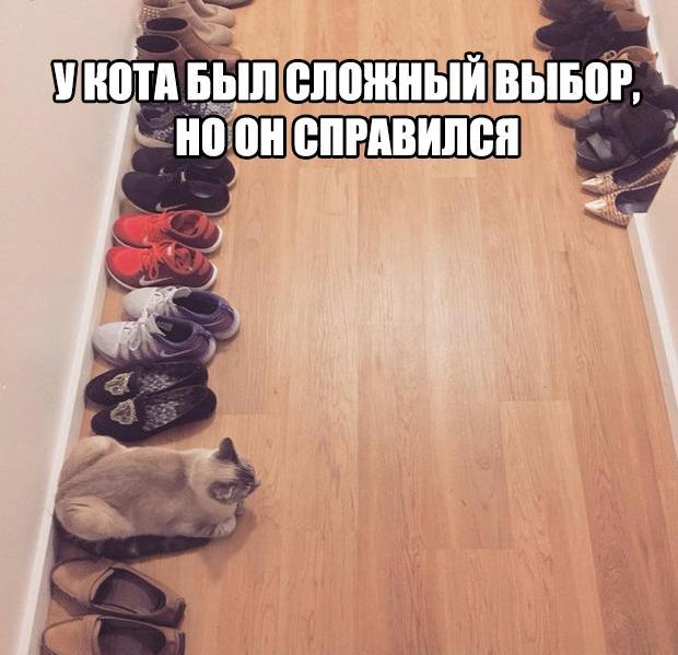 ������� ����
