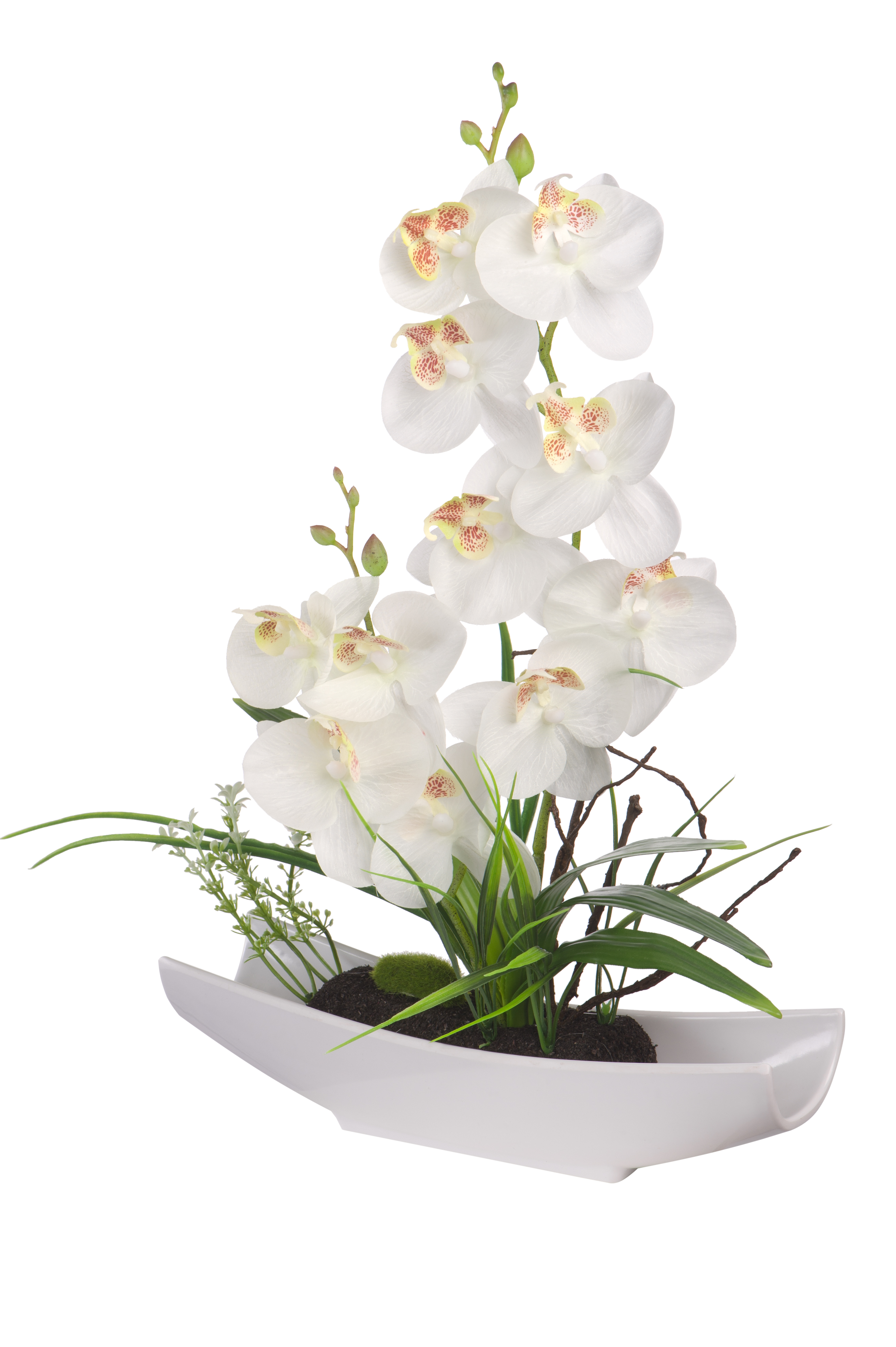 �������!!! ���������, ��������������  ����� � ���������� 