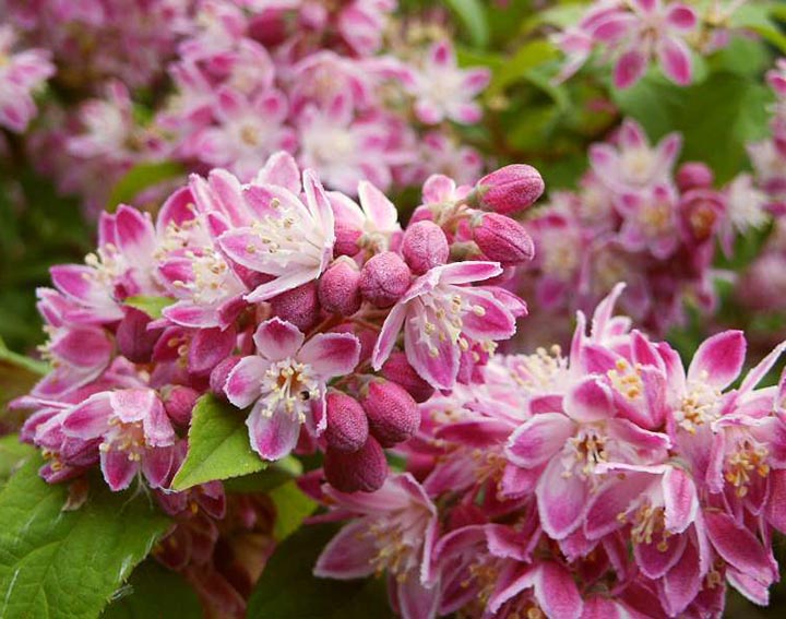 ������� ���, ���������, ���������� � ������ ������������ �������� �� �������� �o*�*��