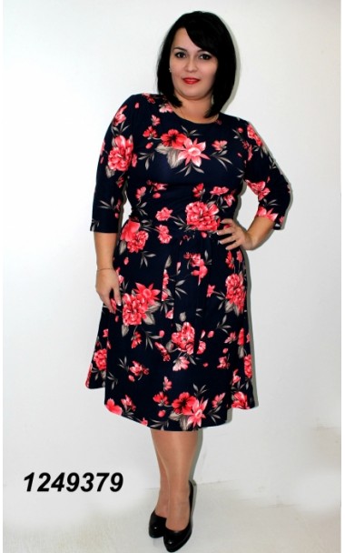 ���� �������. ������ ��� ��������.  ������, �����, �������, ���������. ������� ��������, ��������� ����, ������� ����������� ���������� � �������� �������. �����6