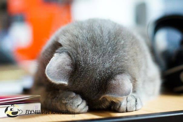 ����! ������� ����� ���� �������! � �ң�, ��� ����� � �ţ ������ ������!