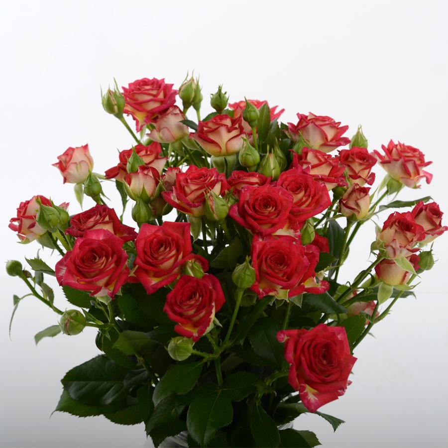 ���� �������.�������������� ���� � 8 �����. ����� 5