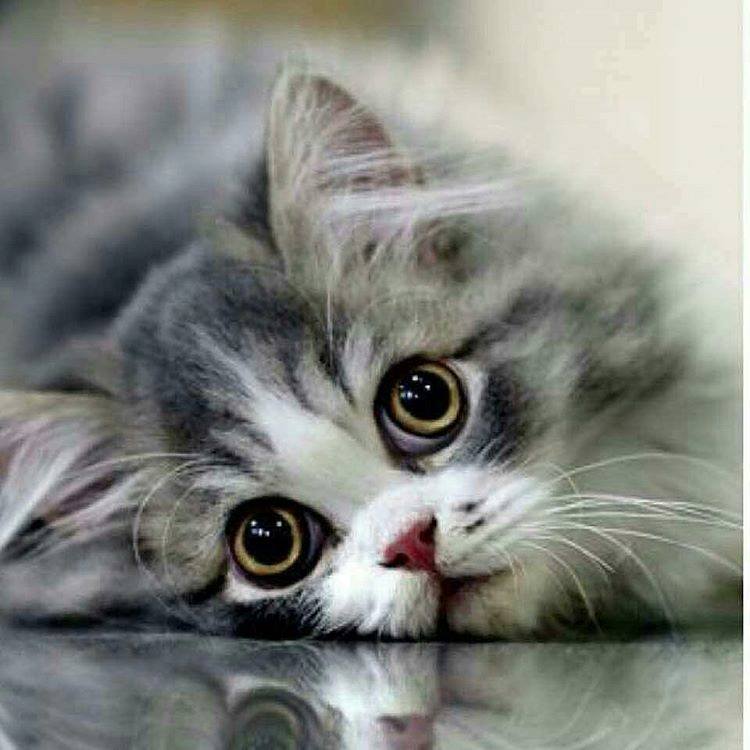 ������� � ����� ������� �����... �� �����???