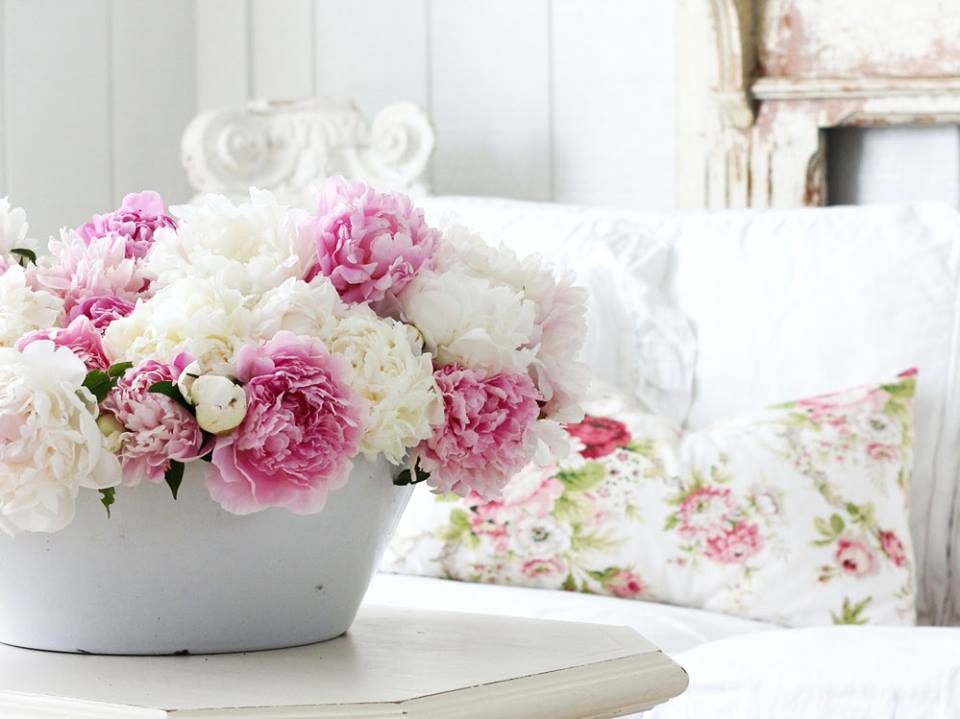 ��� �����, ��� � ���������!