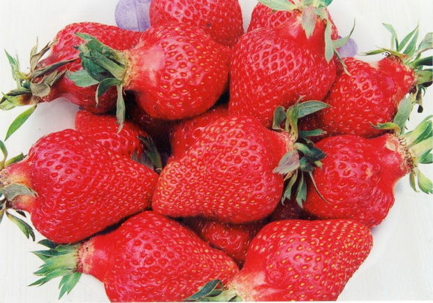 ���� �������. - ���o��r�� �o�ck --���������. 2-2017