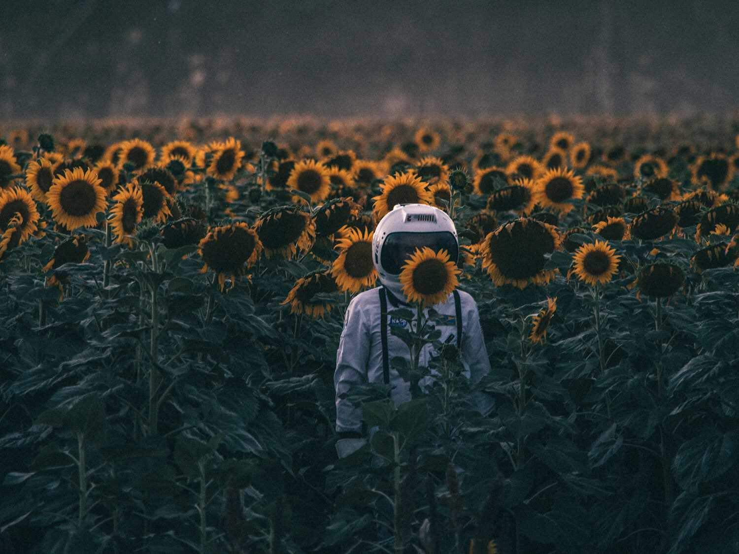 ����� ���������� ���� ����... (�. �. ������).