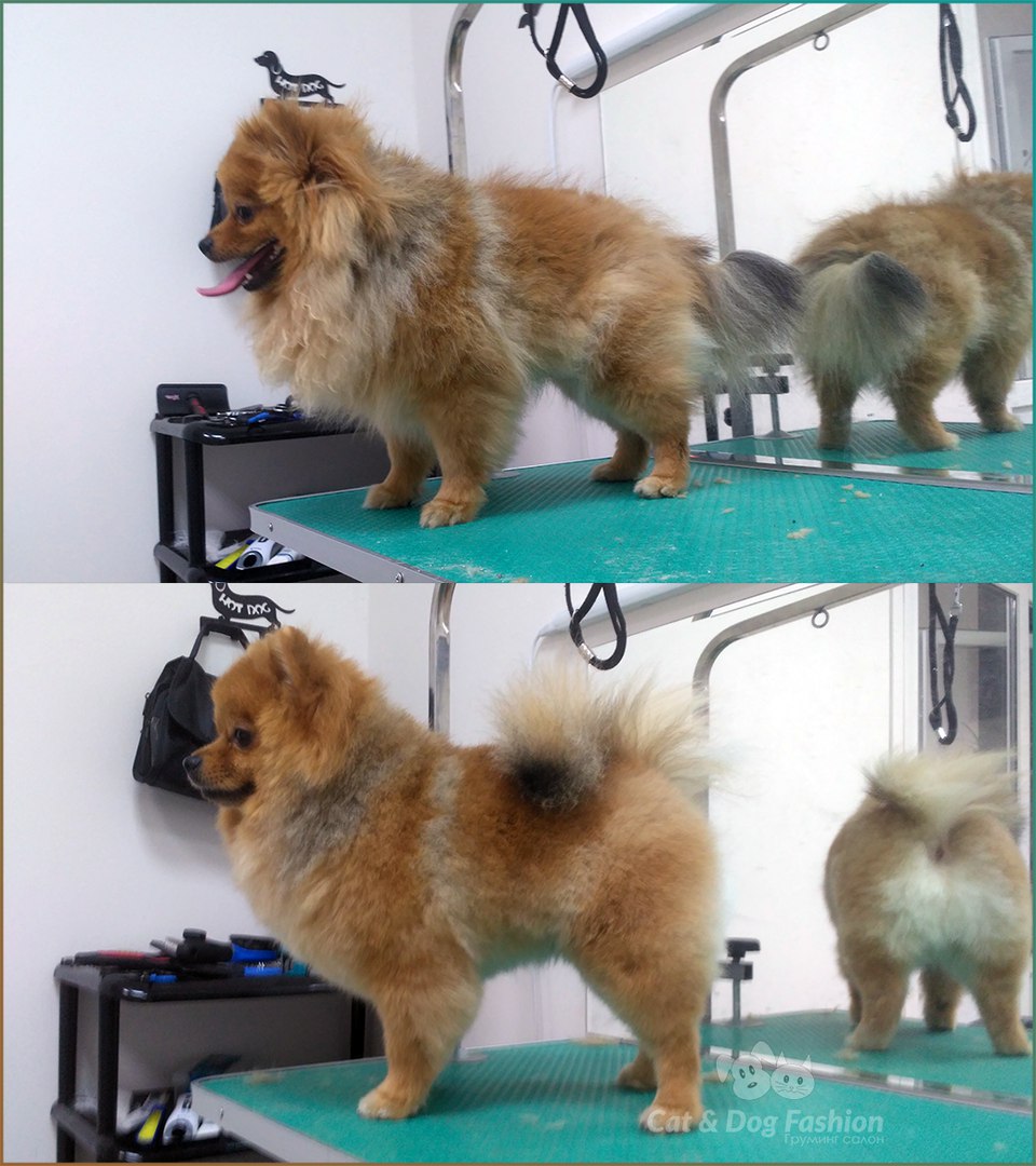 �ݣ, ����� ��������� �������