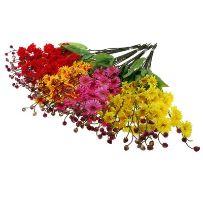 ���� �������. ������������� ����� � �����! ������� ����� �� ������ �����!�� 5���.-3.