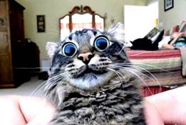 ���� � ������ ������� �� ������ ������...